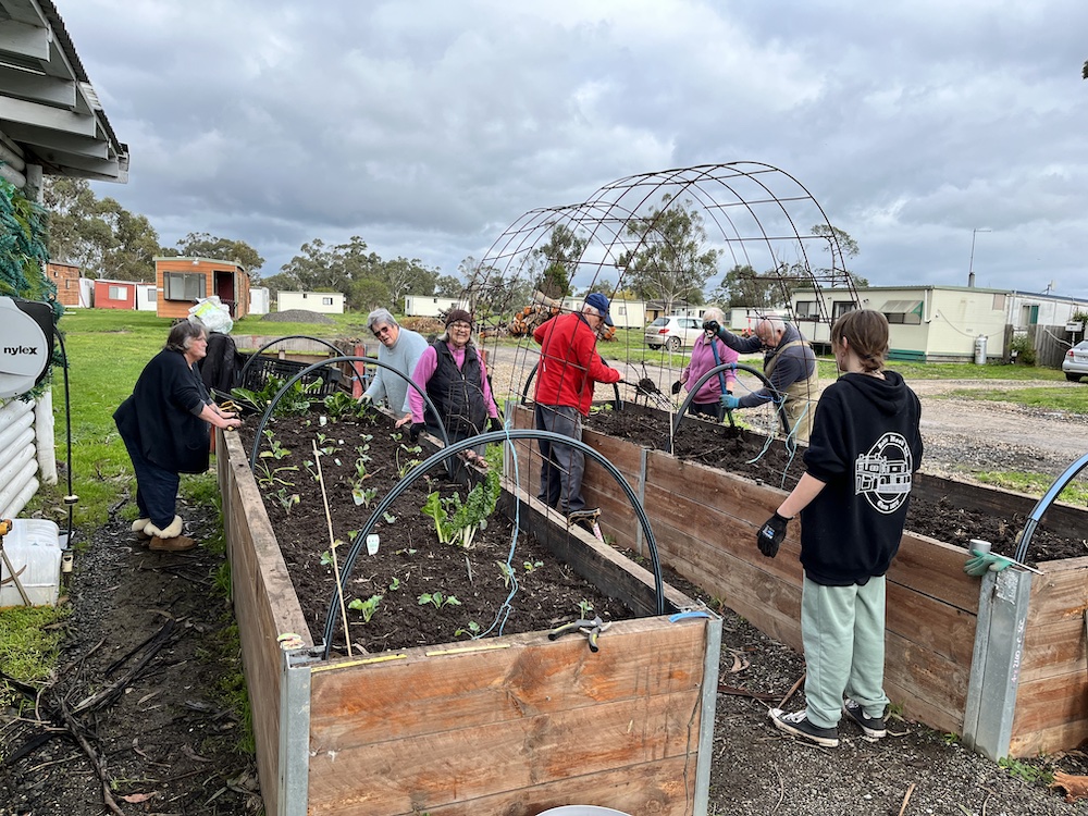 Park residents and family members, working in the veggie garden
