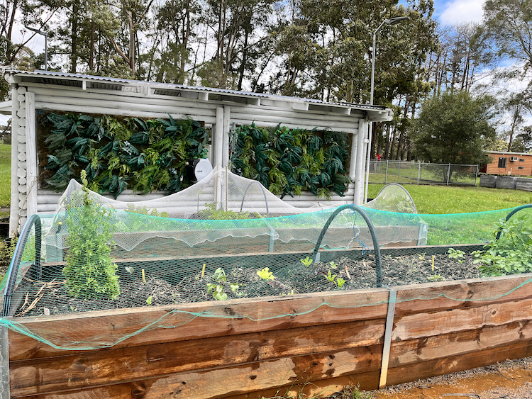 Settlers Rest community produce garden is maintained by the residents.